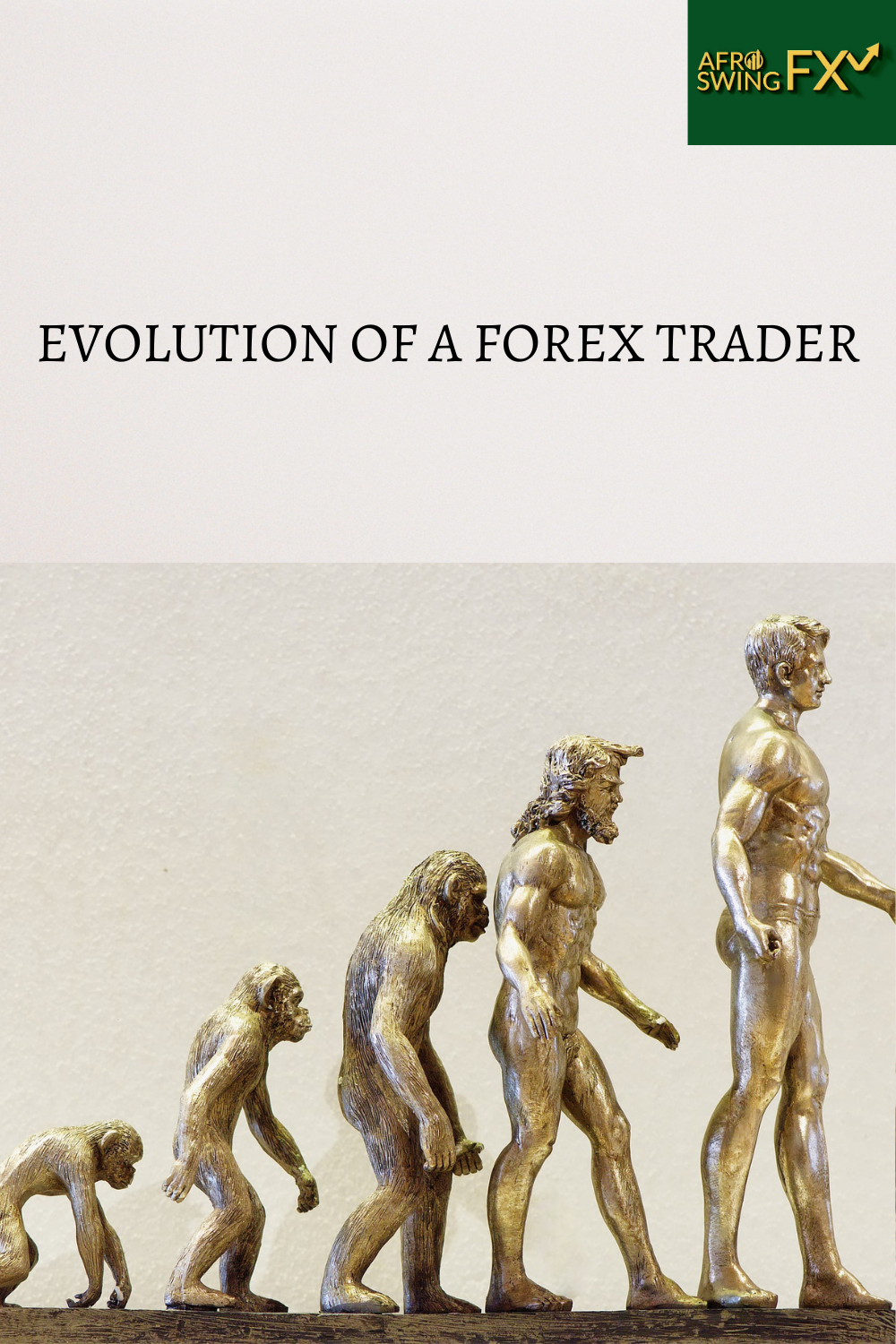 EVOLUTION OF A FOREX TRADER