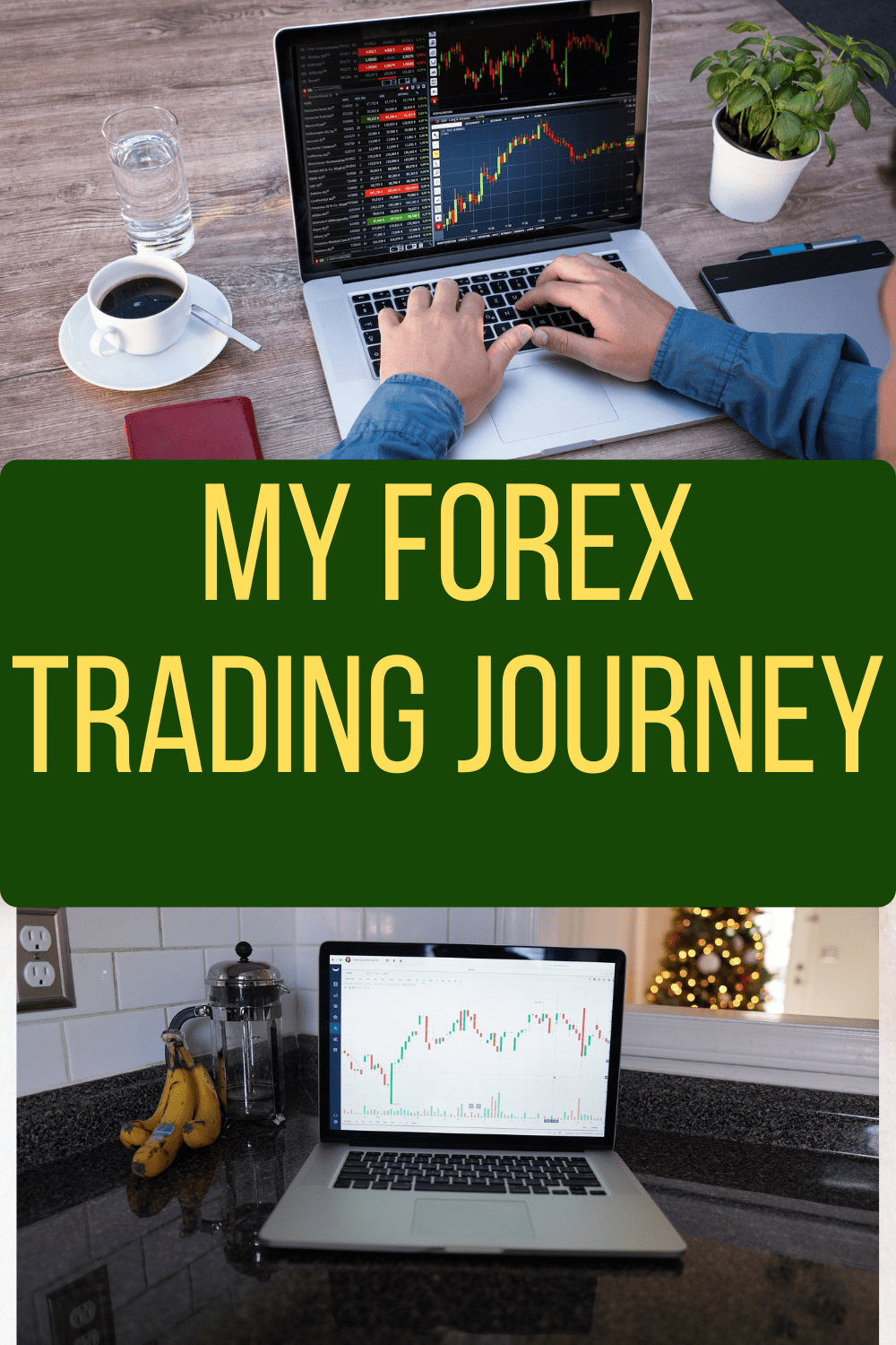 forex trading journey